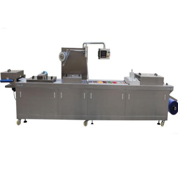 Continuous Stretch Film Industrial Vacuum Packaging Machine For Meat Products