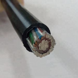 Concentric Design 10mm2 PVC Insulated Electrical Wires AA Cables with Neutral Screen