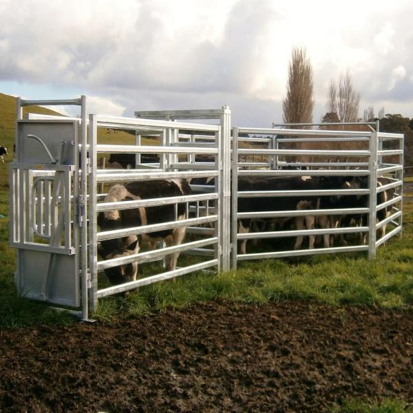 Farm1.8m Square Tube Cattle Panel Fence Galvanized Customized