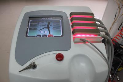 Non-Invasive Diode Lipo Laser Slimming Machine 100mw For Losing Weight