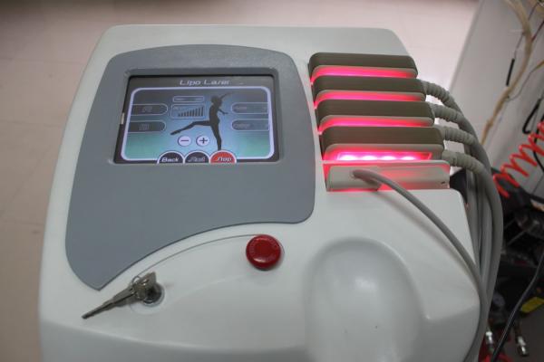 CE Approved High Quality 6 Pads Lipo Laser Body Fat Melting/Weight Loss Machine NBW-LL116