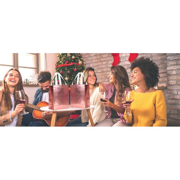 Colorful Gift Bags With Tissues – 9PCS Reusable Gift Bags Medium Size - Perfect As Goodie Bags, Birthday Gift Bag