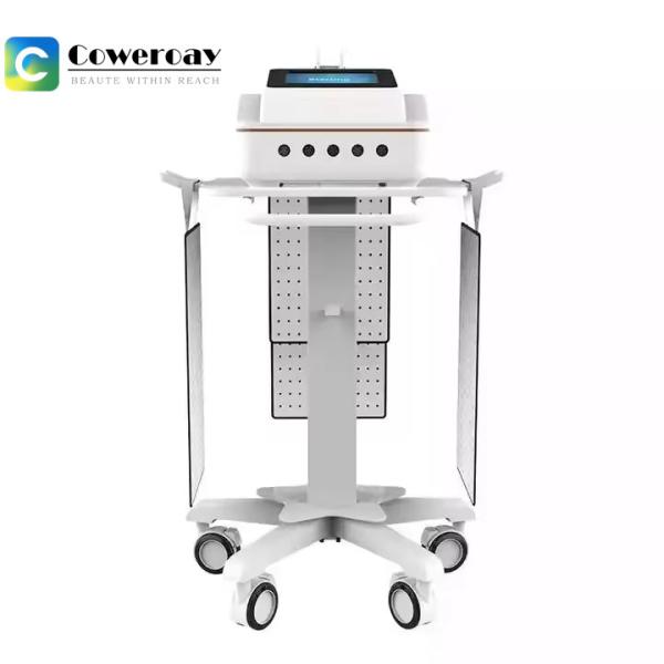 Dual Wavelength Laser Body Slimming Machine 650nm 940nm For Pain Therapy / Weight Loss