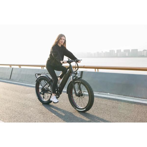 Disc Brake 750W 48V Lithium Battery Adult E Bike Fat Tire Electric Bike 26 inch with Max Speed of 30-50Km/h