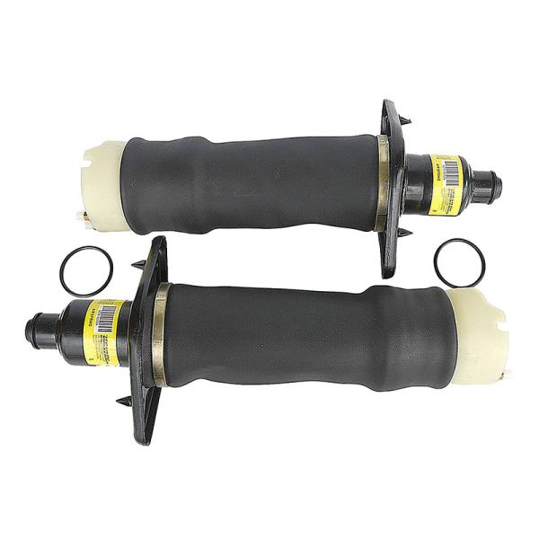 Весна удара газа комплектов для ремонта подвеса воздуха зада автомобиля 4З7616051А для Ауди А6К5