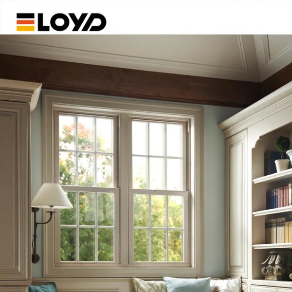 Double Single Hung Window with Energy-Saving Glass and Aluminium Frame