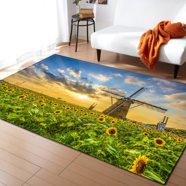 Living room carpet, bedroom floor mat, DIY pattern, flexible cross-border carpet door mat