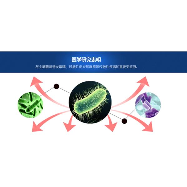 Electric Fuel and Cold Water Cleaning Cleaning Process Electronic mini jewelry/diamond ultrasonic cleaner JP-890