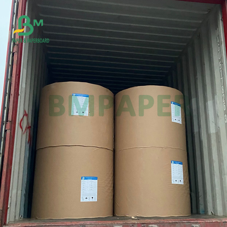 230gsm + 15 PE Matt прокатало крен Cupstock бумажный на горячие напитки 882mm 230gsm + 15 PE Matt прокатало бумагу запаса чашки на горячие напитки 882mm