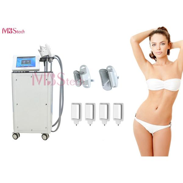 2 dans 1 Cryolipolysis amincissant la machine