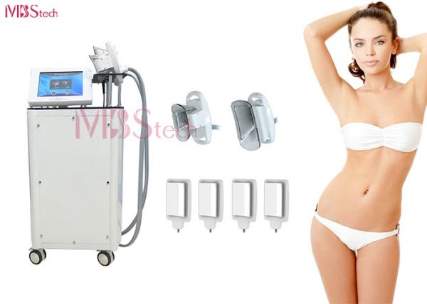 2 em 1 máquina do emagrecimento de Cryolipolysis