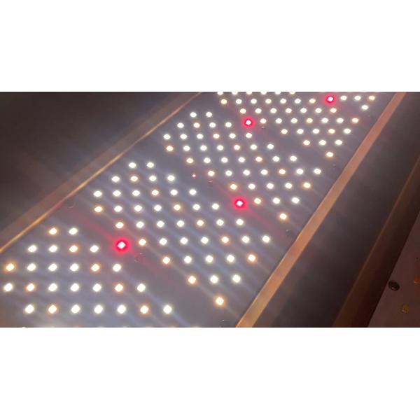 El invernadero LED de la república de los cultivadores crece vatios ajustable LED del ángulo ligero los 320