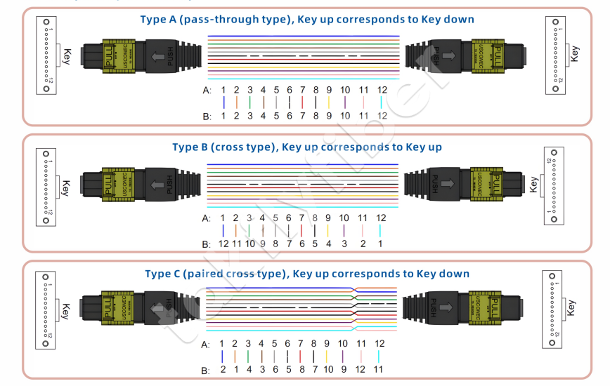 Amphenol Customized 288 Fibers 0.35dB Max Insertion Loss Singlemode OS2 MPO Trunk Cable for Data Center