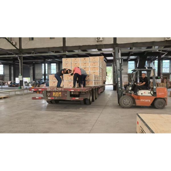 Jiangmen Songfeng Import and Export Co., Ltd.