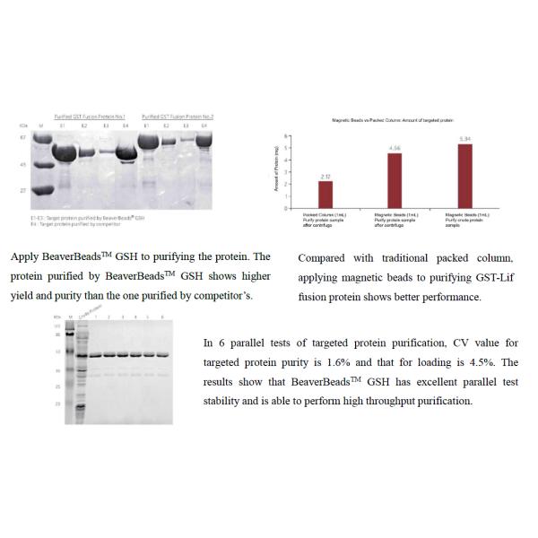 100 Rxns Глутатион Агароза GSH для очистки белка с концентрацией 10%