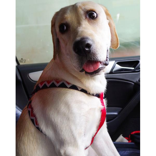 Anti Escape Christmas Dog Vest Harness For Small Dogs Pets Adjustable Puppy Harness