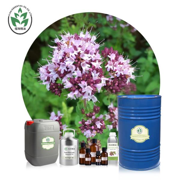Customized Pure Organic Essential Oils Sweet Marjoram Essential Oil CAS 8015-1-8