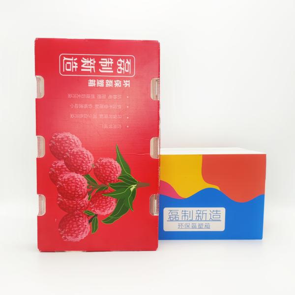 5mm Corrugated Plastic Packaging Boxes Leiser Recycling Carton Boxes