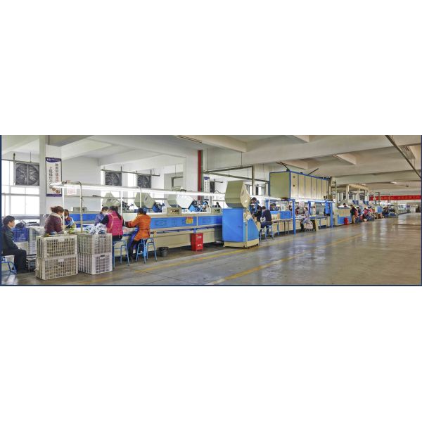 Anhui EZ Import & Export Co.,Ltd