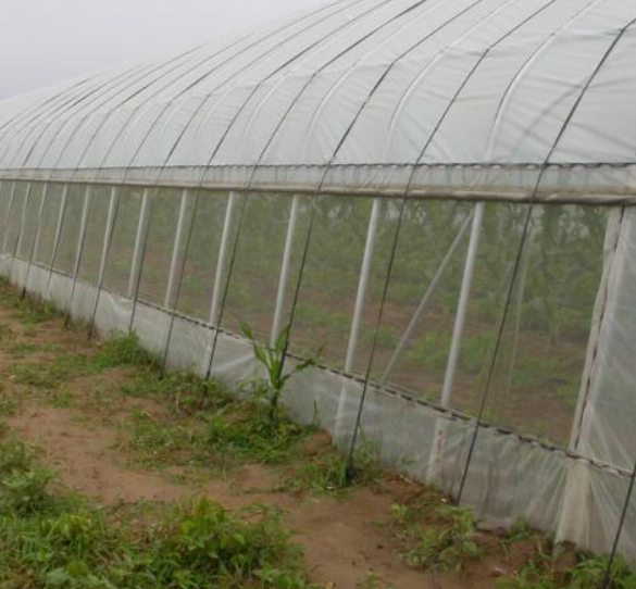 White 50 Mesh 5m Insect Screen For Greenhouse Anti Mosquito Net