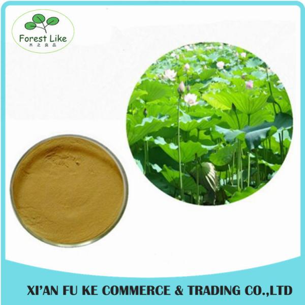 Chinese Herb Medicine Loss Weight Product Lotus Leaf Extract Powder