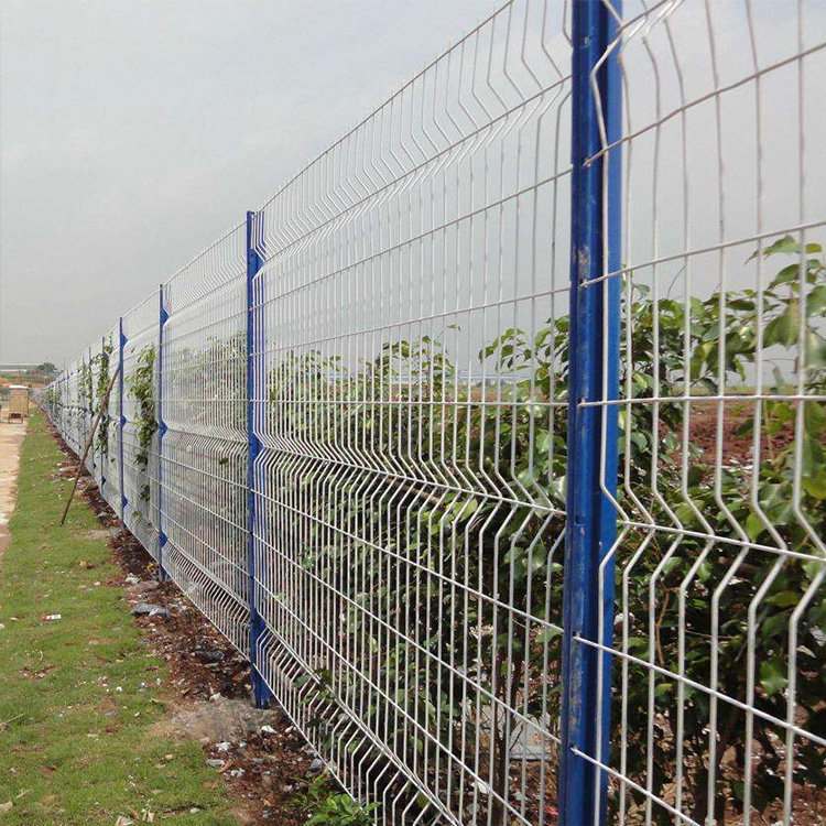 Hot Dipped Galvanized 3D Curved Fence with 50x200mm Mesh Size and Rustproof Garden Fence
