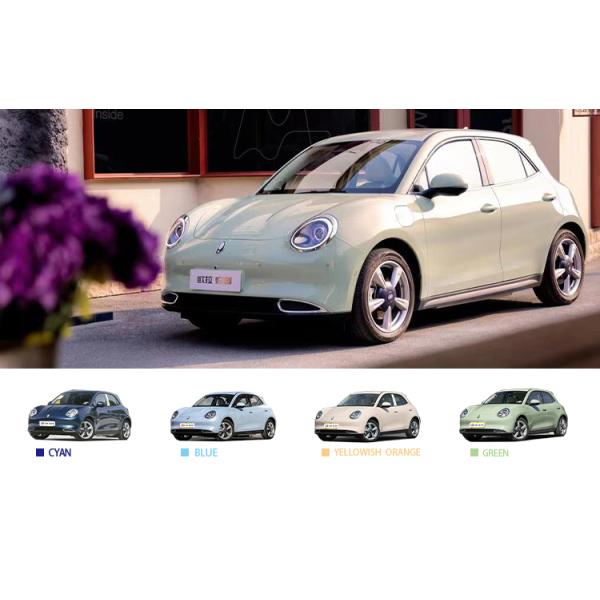 2023 ORA Electric SUV Car with Automatic Air Conditioner and Car Entertainment System