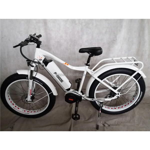 Adult Fat Tyre Cycle E Ebike Electric Bike 48V 1000W 21A Central Mid Drive Motor 26 Inch