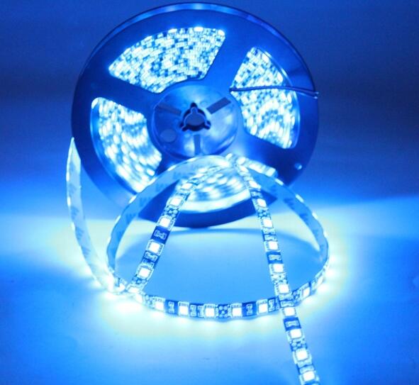 12V 14.4W Blue Led Light Strips 300 5050 LEDs Waterproof Epoxy Material