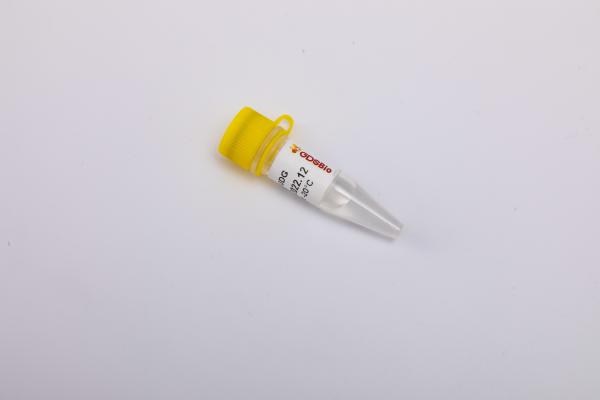 DSPath NGS Multiplex PCR Master Mix #K030-B tNGS library preparation