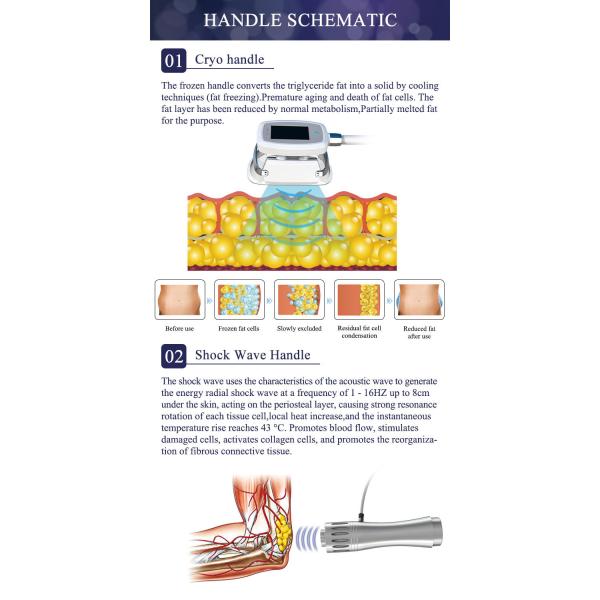 5MHZ RF 7 In 1 Cavitation Multifunction Cryolipolysis Machine Shock Wave