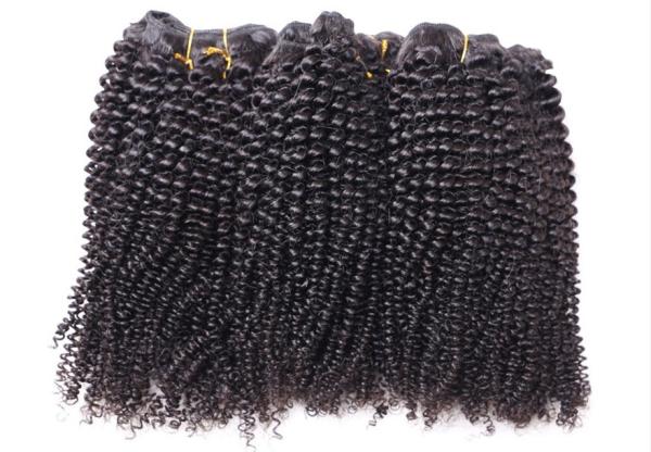 Extensões perversos do cabelo encaracolado do Afro de trama para o cabelo humano indiano nenhum emaranhado