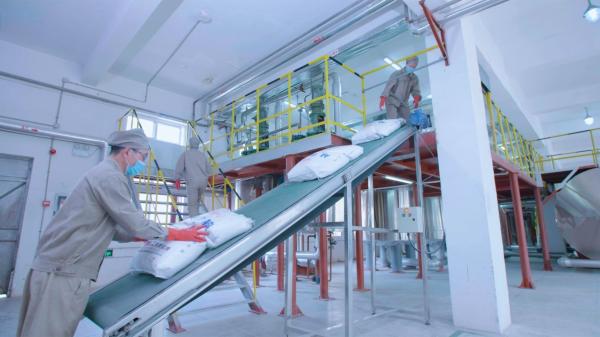 Sodium Stearyl Fumarate Powder CAS 4070-80-8 Customization for Your Specifications