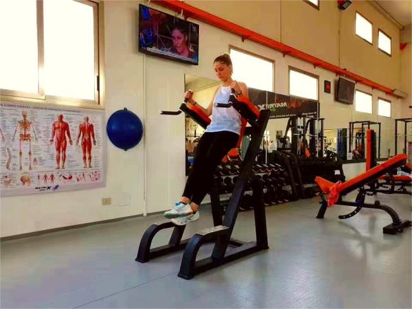 Commercial Multi-Functional Vertical Kness UP/DIP Plate Loaded Machine