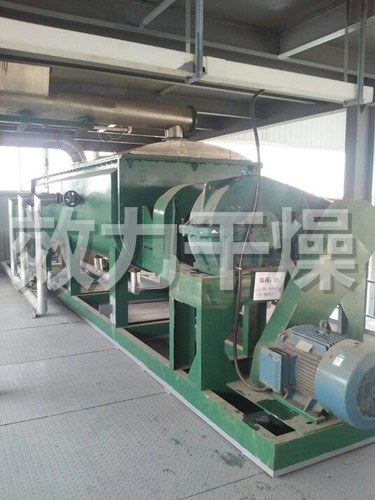 High Efficiency Compact Footprint Paddle Dryer For Industrial Sludge Chemical Processing