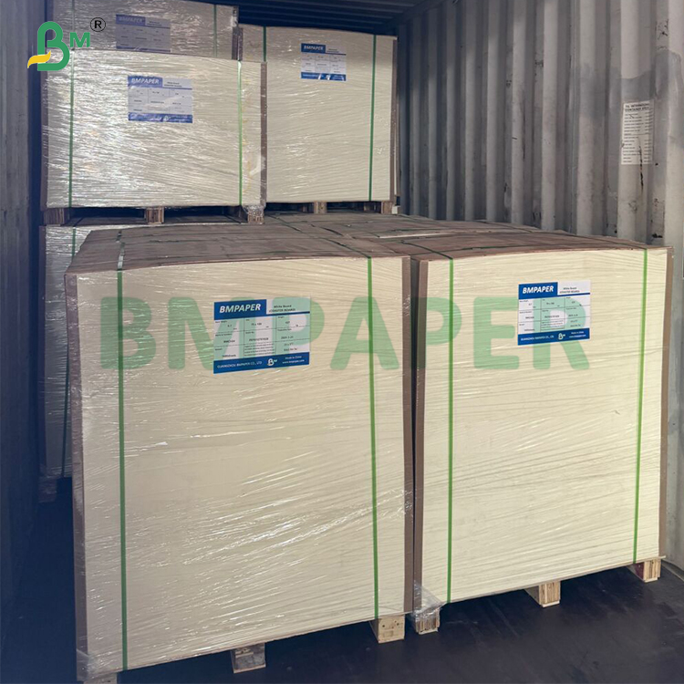 240gsm + 20gsm Biodegradable PLA Coated Cup Base paper in roll
