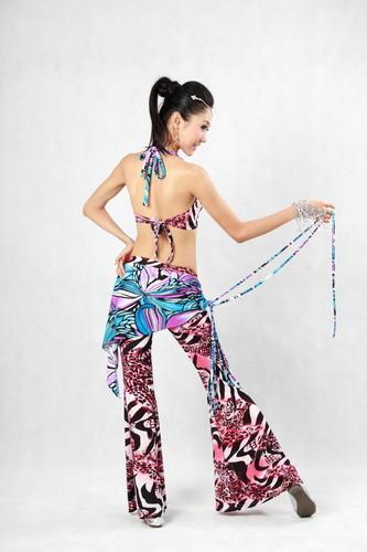 2pcs Animal Printed Belly Dance Training Wear With Pants & Bras Belly Dance Clothes