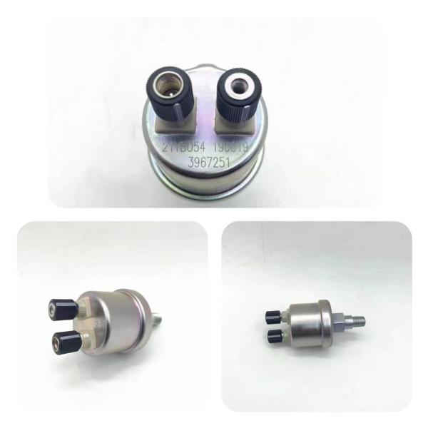OE NO. 3967251 Cummins Engine Oil Plug for Truck Dongfeng 6BT 4BT 6CT Diesel Parts