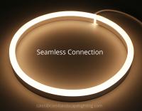 Lumière de contour extérieure à néon en forme de dôme LED Flex 24V 48VDC