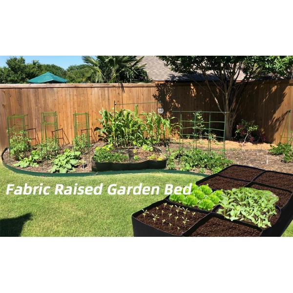 Fabric Raised Garden Bed 6x3x1ft Garden Grow Bed Bags for Growing Herbs, Flowers and Vegetables 128 Gallon