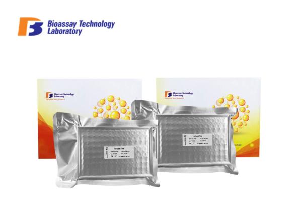 High Sensitive DBH ELISA Assay Kit For Canine Dopamine - Beta - Hydroxylase