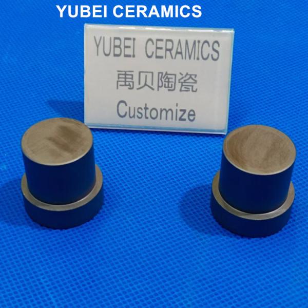 Custom Made Density Black SSic Ceramic Components For High Temperature Enviornment