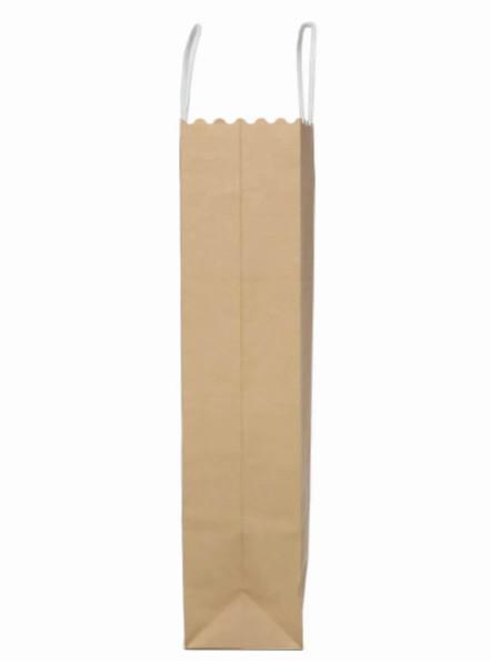 environmental brown kraft snack takeout paper bags