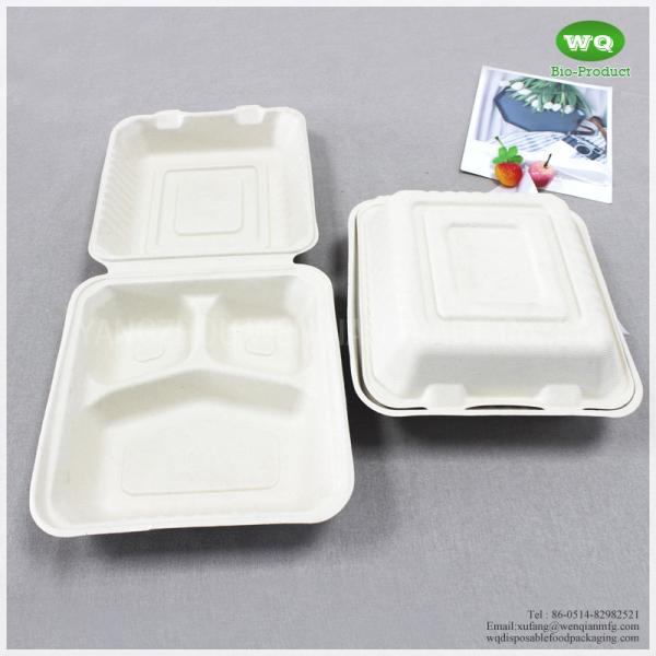 8x8 Inch Three Compartments Compostable Sugarcane Fiber Disposable Lunch Box-Disposable Food Packaging Manufacturer