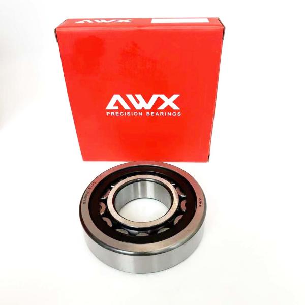 Industrial Cylindrical Roller Bearings With Steel Cage Material NJ2203-E-XL-TVP2 NJ303-E-XL-TVP2