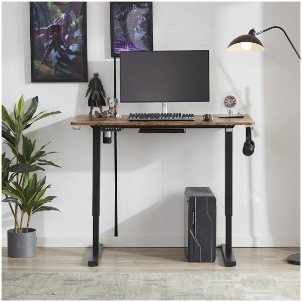 Office Building Petite Ergonomic French One Motor Electric Standing Desk for Kids