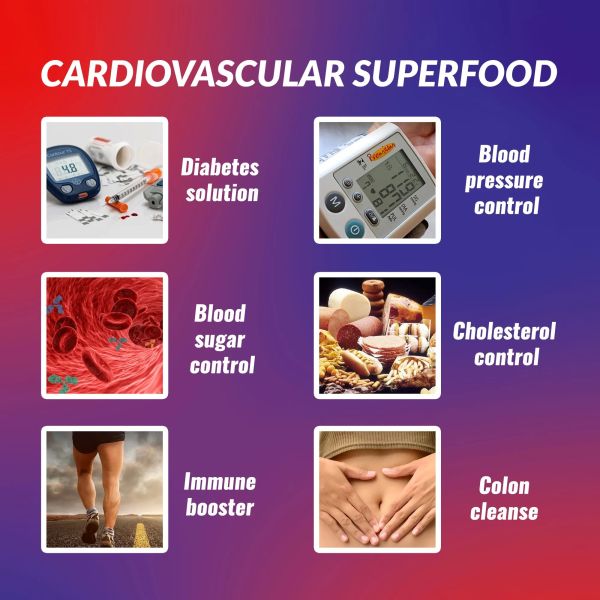 6-in-1 Premium Herbal Extract Wellness Formula Sugar Free Blood Pressure Balance Supplement with FDA/HALAL/GMP/NSF/ISO Certification