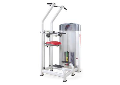 Máquina do exercício de Chin do mergulho da assistência dos equipamentos do Gym da força da aptidão da vida do esporte