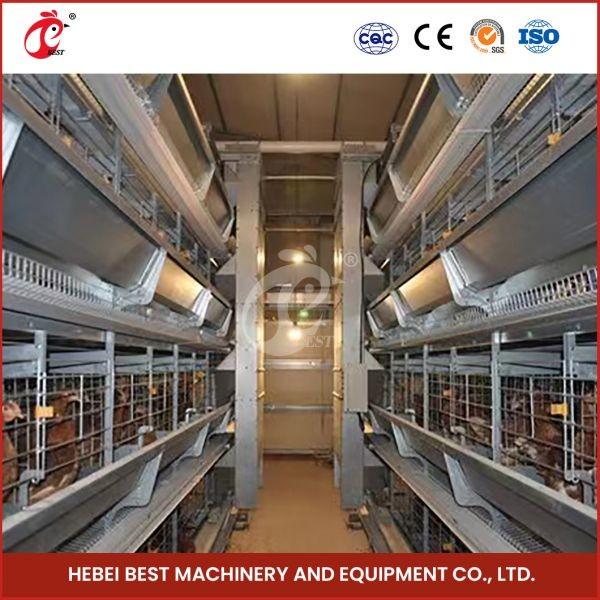 Plastic or Metal Feeder Trough Poultry Farming Cage System for High Rearing Efficiency Mia