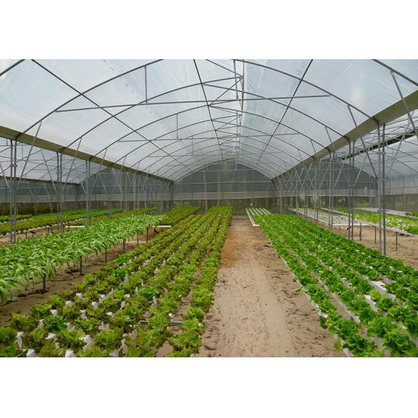 UV Sterilizer Nft Farming System Disease Resistant For Leafy Greens Growth